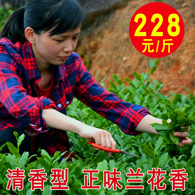 2021新茶 安溪清香型兰花香铁观音茶叶 礼盒装500g感德茶农直销