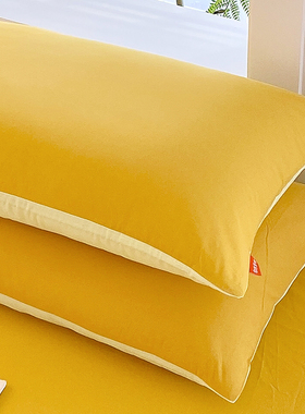 水洗棉纯棉枕套一对装家用全棉枕头套单个48x74学生枕芯套40x60cm