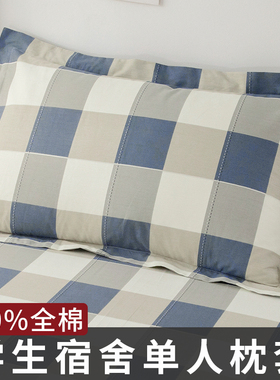 纯棉枕套一对装学生宿舍单人单个40x60全棉枕头套48x74枕芯内胆套