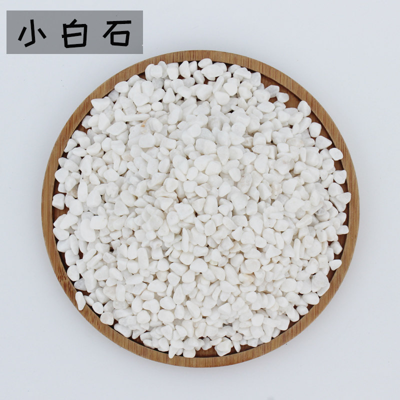 白石多肉植物盆景铺面美观园艺