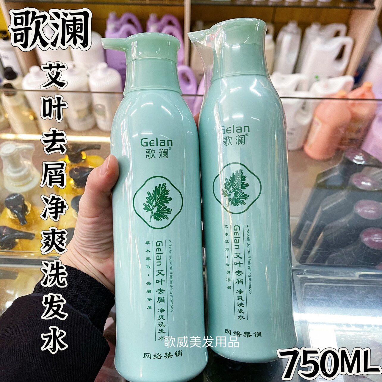 正品歌澜艾叶去屑净爽洗发水柔顺滋润洗发乳清爽不油腻洗发露2