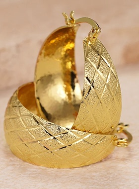 Luxury Noble Hoop Earrings with Simple Pattern Delicate