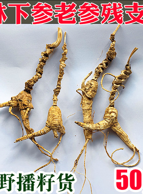 人参林下参残支纯籽货林下参纯野播籽参野山参山妞妞基地直供包邮