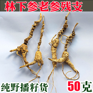 人参林下参残支纯籽货林下参纯野播籽参野山参山妞妞基地直供 包邮