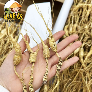 林下参微残老参高龄25+野播籽货桓仁林下山参100克起售产地直发