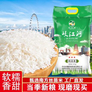 岐江河园万米业岐江河丝苗米三星4.5kg南方丝苗米