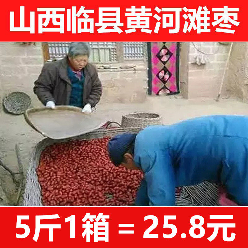 新枣黄河滩枣山西特产临县红枣散装大小枣子一箱5斤