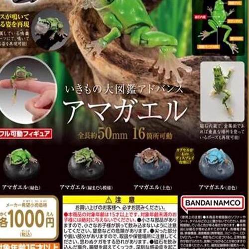 万代扭蛋生物大图鉴青蛙可动手办