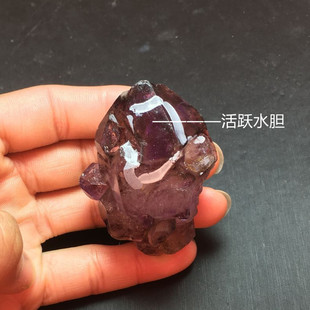 天然活跃水胆紫水晶 超七骸骨骨干原石矿物标本 特色吊坠家居摆件