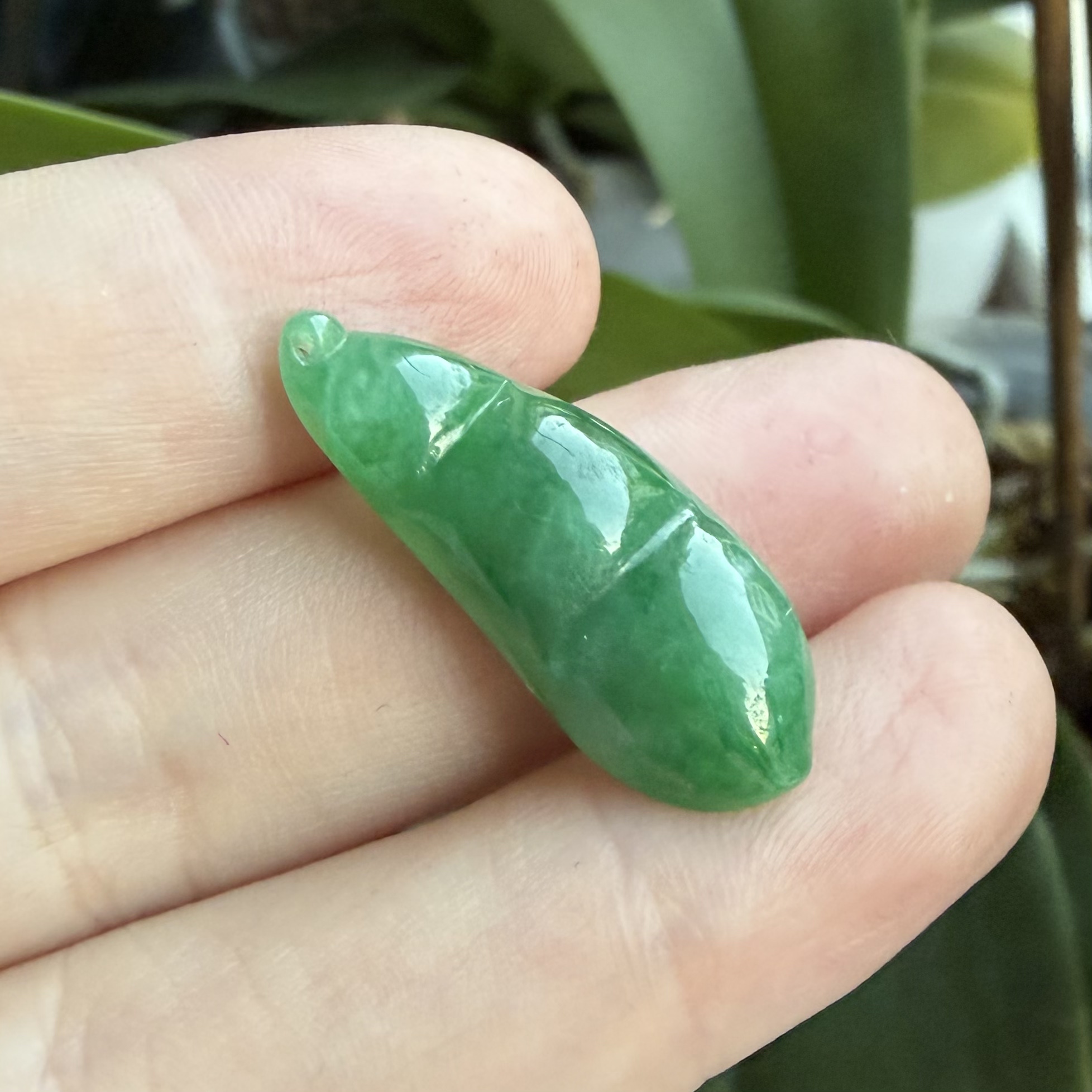 『春尾集』天然缅甸翡翠玉A货冰糯种满绿辣绿福豆一物一证