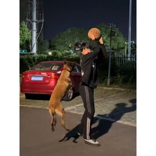 传奇商行原创学生裤子薄款篮球裤运动长裤男生休闲裤三条杠条纹裤