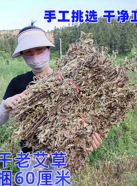 端午大叶艾草干货优质月子产妇宝宝用泡澡脚散装艾去湿干蕲艾泡茶