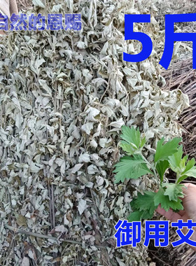 御用正宗大叶艾草干货农家散装艾叶泡脚做月子洗澡洗头艾叶艾根