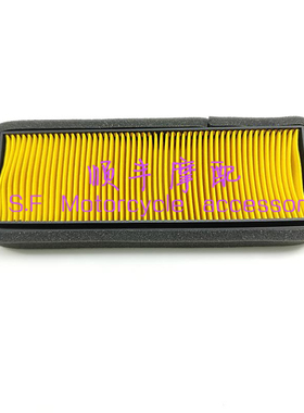 骁750幼狮800空滤BJ750-6/QJ750-7A空汽滤芯纸质空滤芯空滤器总成