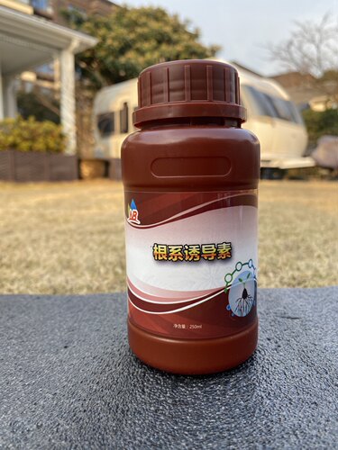 NB活力素根系诱导素天南星僵苗缓苗生根月季绣球非激素101神仙水