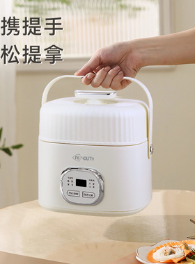 艾青春多功能电热锅电饭煲煲汤AI-G11（电炖盅）