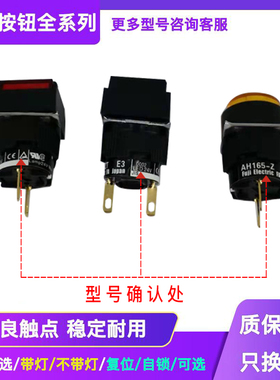 富士按钮指示灯AH165-Z AH165-ZS  AH165-ZT E3 G R AH164