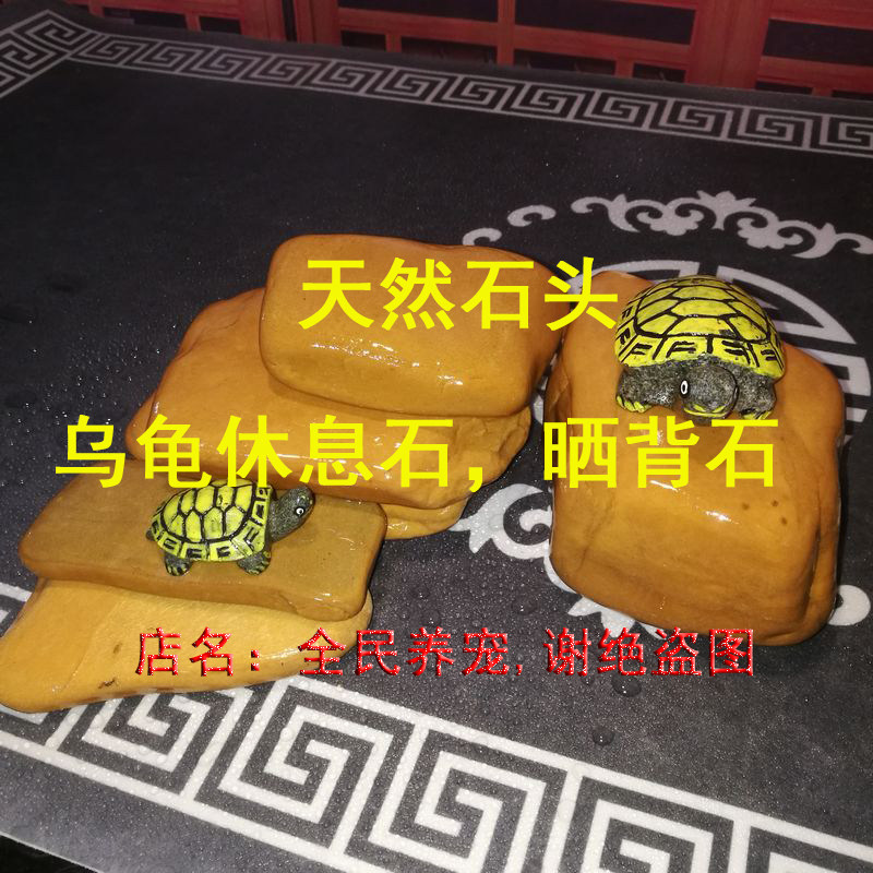 真石头养小青黄喉蛋龟窄桥头盔龟用 黄蜡石晒台石 休息石躲避洞