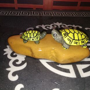 小青龟用黄蜡石乌龟晒台发色养桥草墨龟造景石南美鱼缸石头包邮