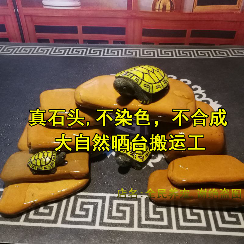 黄蜡石乌龟晒台石躲避洞休息台晒背石适用宠物龟鳖小青巴西包邮