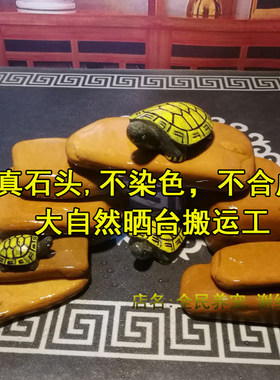 乌龟晒台石休息石新品