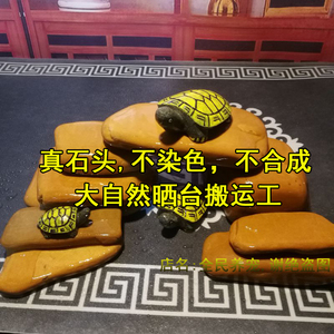 乌龟晒台石休息石新品