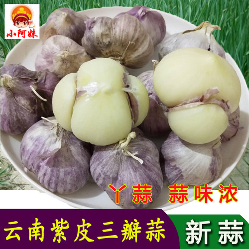 云南紫皮大蒜头蒜新鲜干蒜