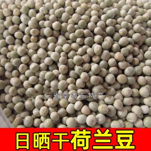 干荷兰豆干豆类食品五谷杂粮粗粮青豆黑豆新鲜荷兰豆仁干货