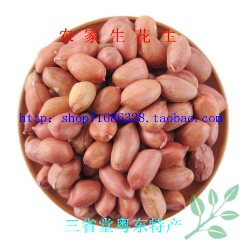 【一斤包邮】农家红皮手剥生花生图片