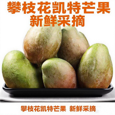 四川攀枝花凯特芒果新鲜水果