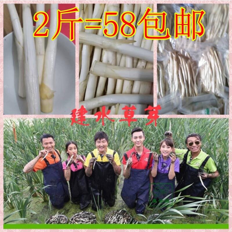 云南建水特产时鲜蔬菜 新鲜草芽象牙菜12道锋味 1000克包邮