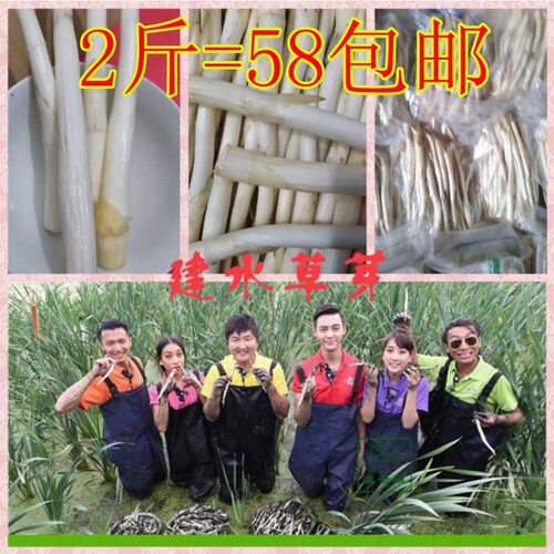 云南建水特产时鲜蔬菜草芽象牙12