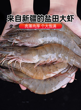 【新疆特产】新疆盐田大虾本地养殖盐碱地淡水大虾冷冻品海鲜年货