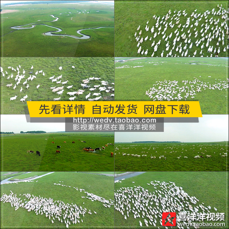 C172唯美航拍草原内蒙古风光风景色放牧民羊群马牛群实拍视频素材