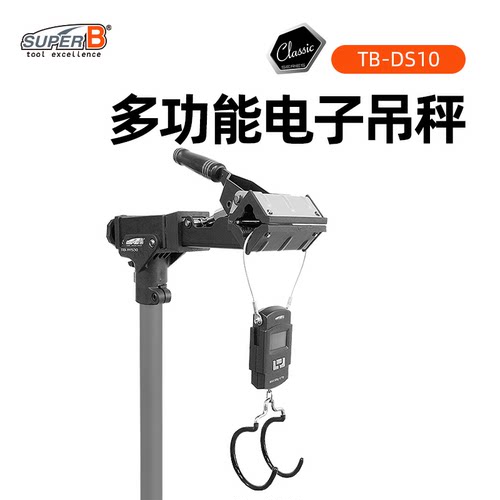 SUPERB保忠电子吊秤TB-DS10