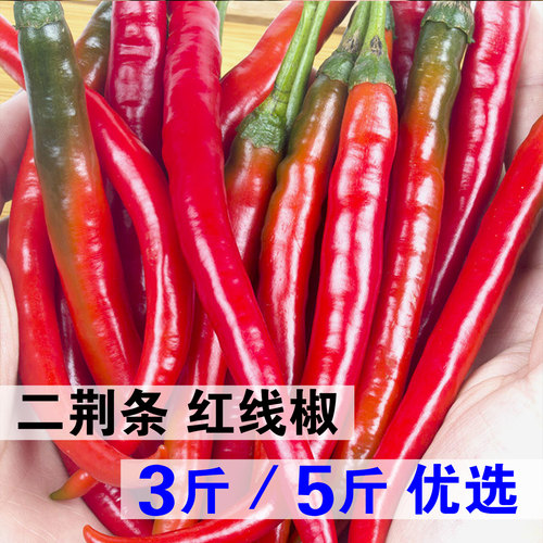 3斤/5斤/10斤 二荆条 红线椒 长尖椒 红辣椒云南德宏辣椒新鲜蔬菜