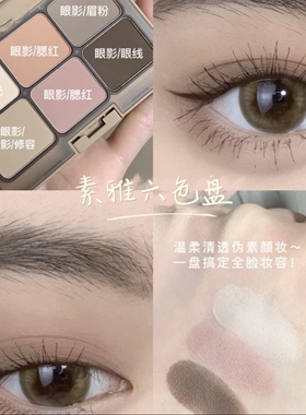 白开水低饱和大地色全哑光综合盘