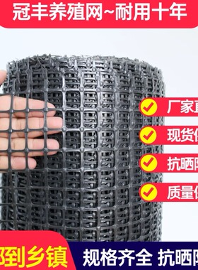 塑料养殖网养鸡鸭鹅拦鸡小孔网格园子护栏防护网围挡菜园围栏栅栏
