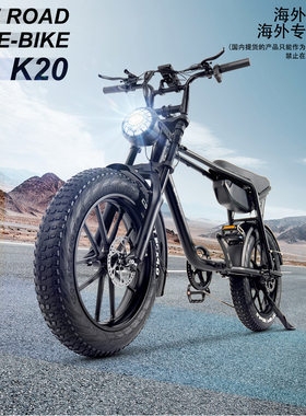 20寸复古新款电动自行车小型代步锂电池助力电瓶车男女