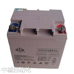 24Ah 双登免维护蓄电池6 12V C10移动机房专用议价 GFM