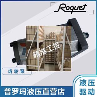 3DE10R油泵议价 1LQ7.5 西班牙ROQUET双联泵齿轮泵1LQ10 1.5DE10R