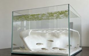 鱼缸造景小鱼幼鱼黑壳虾米躲避屋地下观赏洞穴庇护所底砂装饰摆件