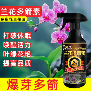 兰花多箭素爆芽素专用营养液蝴蝶兰多剑王兰灵王通用促开花肥料