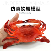 仿真螃蟹大闸蟹模型软胶海洋动物儿童早教认知玩具拍摄摆件梭子蟹