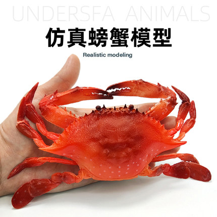 仿真螃蟹大闸蟹模型软胶海洋动物儿童早教认知玩具拍摄摆件梭子蟹
