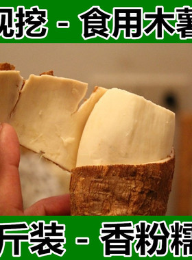 现挖新鲜面包木薯Cassava蔬菜特产海南白皮白肉地瓜薯番薯生水