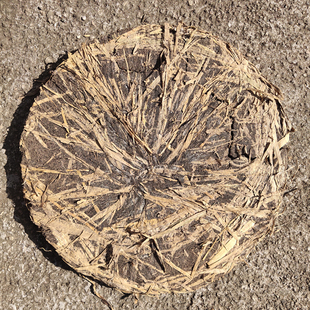 5斤农家新鲜桐油枯冷榨桐油麸饼防治地下虫种菜花果树天然