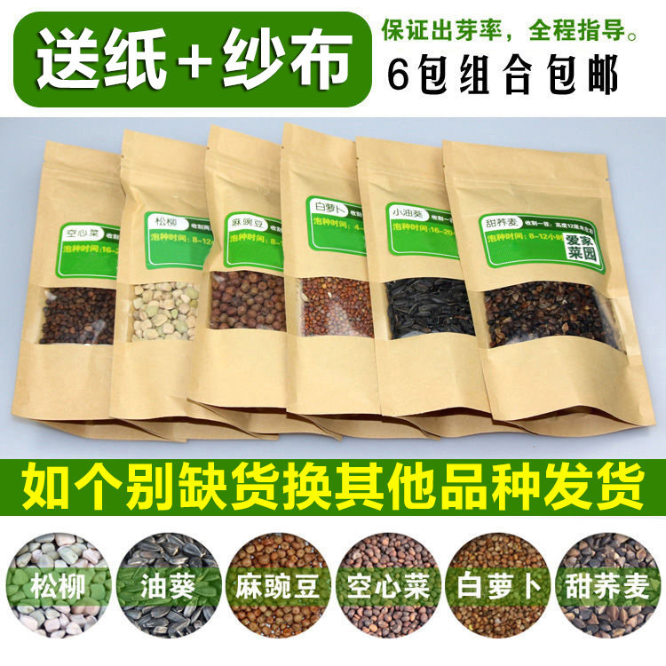包邮室内种菜水培芽菜籽四季芽苗菜无土栽培豌豆萝卜子空心菜松柳