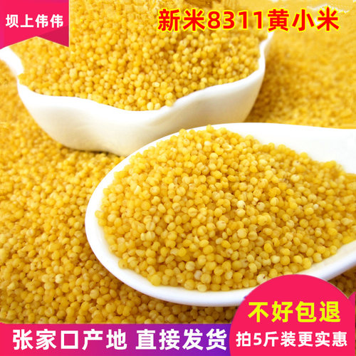 小黄米小米新米5斤原味不好包退