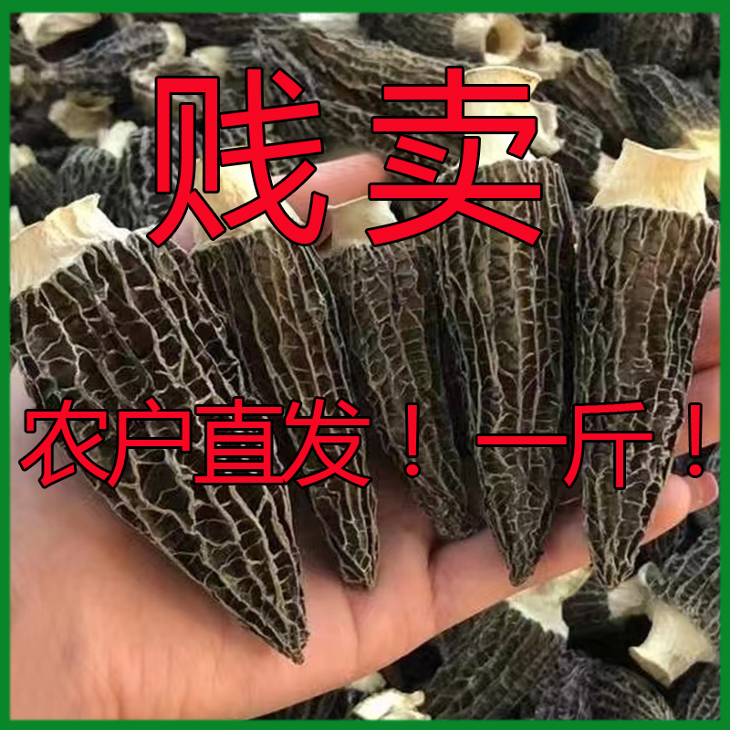 特价羊肚菌干货野生500克一斤羊肚菇干货非特级云南羊肚蘑菇食材